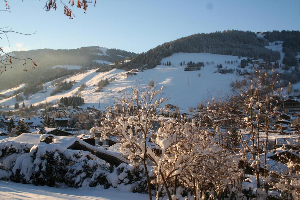 Chalet In Megeve Bed and Breakfast Eksteriør billede